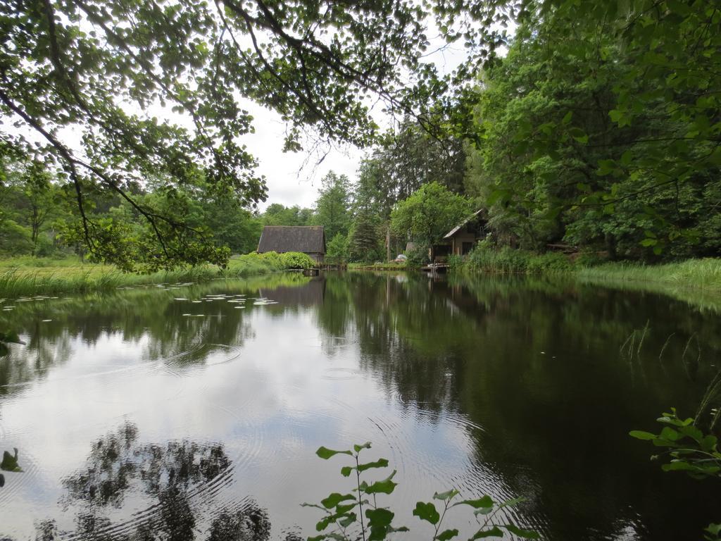 Mizarai Mill House Villa Druskininkai Buitenkant foto